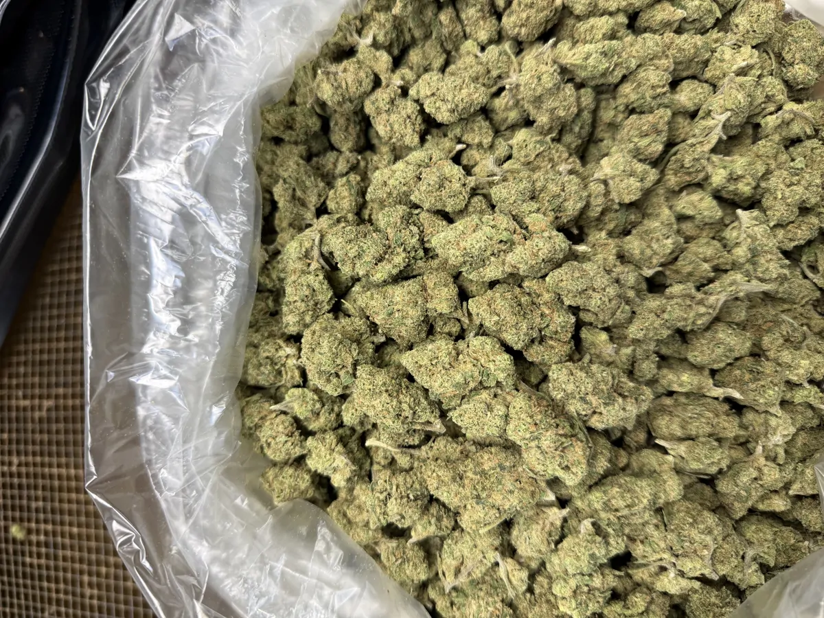 Blue Dream Flower